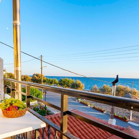 Soso'S Apartments -Vacations Next To The Beach Ψαρή Φοράδα Εξωτερικό φωτογραφία
