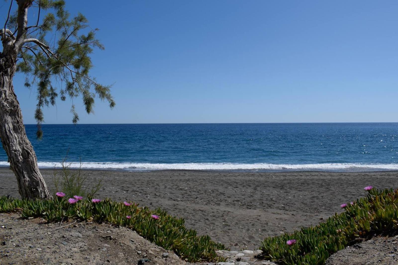 Soso'S Apartments -Vacations Next To The Beach Ψαρή Φοράδα Εξωτερικό φωτογραφία