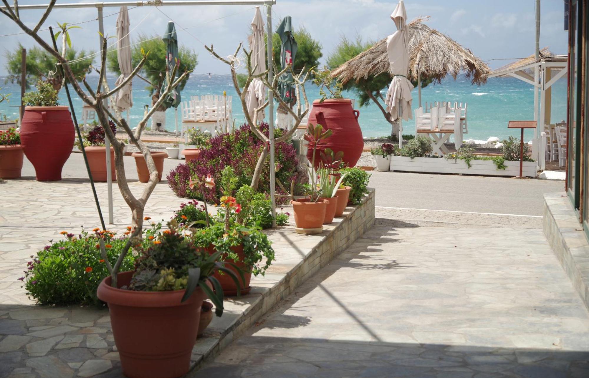 Soso'S Apartments -Vacations Next To The Beach Ψαρή Φοράδα Εξωτερικό φωτογραφία